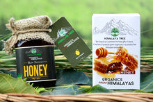 Load image into Gallery viewer, Raw Forest Honey