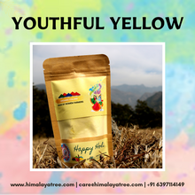 Load image into Gallery viewer, Organic Holi Colors (Free Shipping)