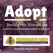 Load image into Gallery viewer, Adopt Beehive