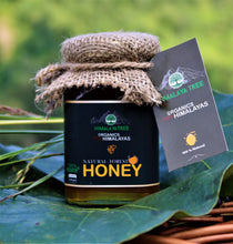 Load image into Gallery viewer, Combo Offer - Natural Forest Honey 250g + Natural Wild Honey 250g (Save 10%)