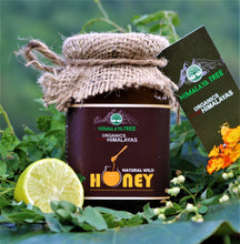 Load image into Gallery viewer, Combo Offer - Natural Forest Honey 250g + Natural Wild Honey 250g (Save 10%)