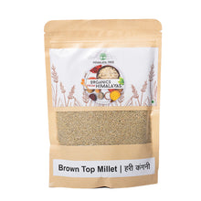 Load image into Gallery viewer, Organic Brown Top Millet / हरी कंगनी
